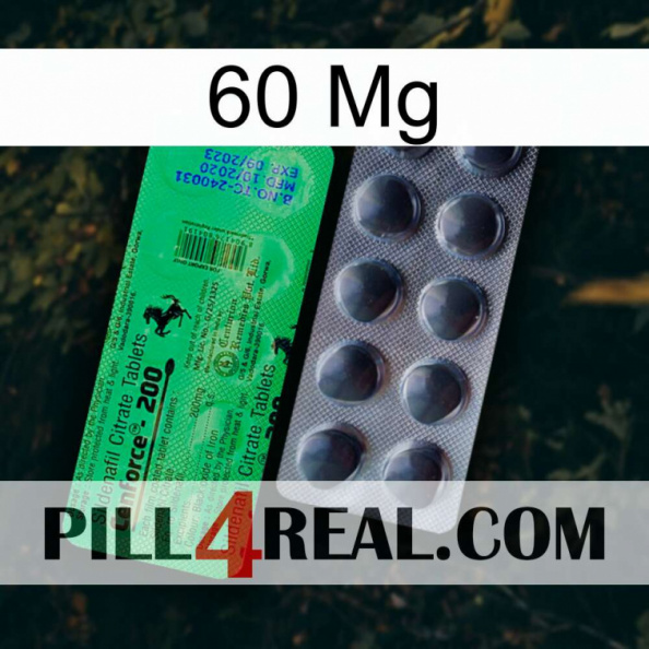 60 Mg new04.jpg